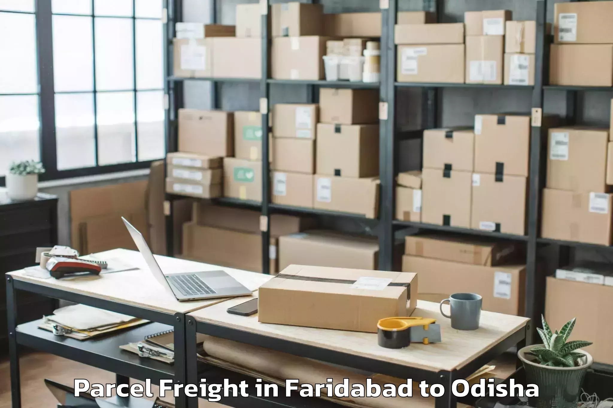 Easy Faridabad to Lanjigarh Parcel Freight Booking